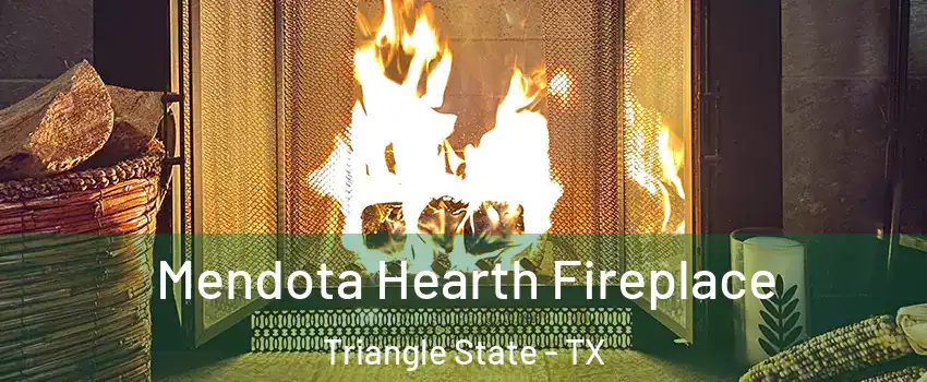 Mendota Hearth Fireplace Triangle State - TX