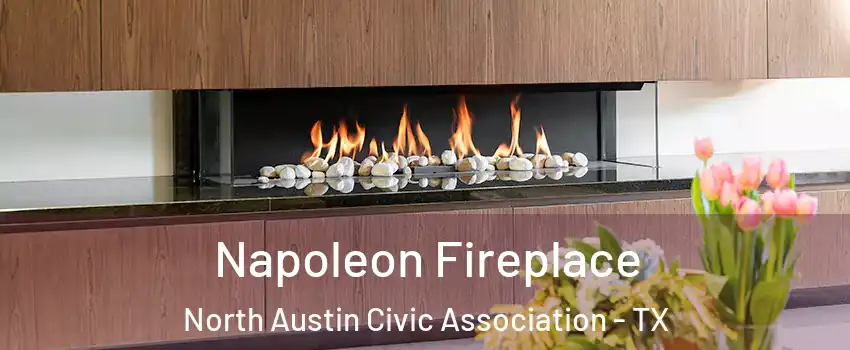 Napoleon Fireplace North Austin Civic Association - TX