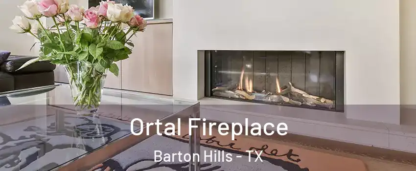 Ortal Fireplace Barton Hills - TX