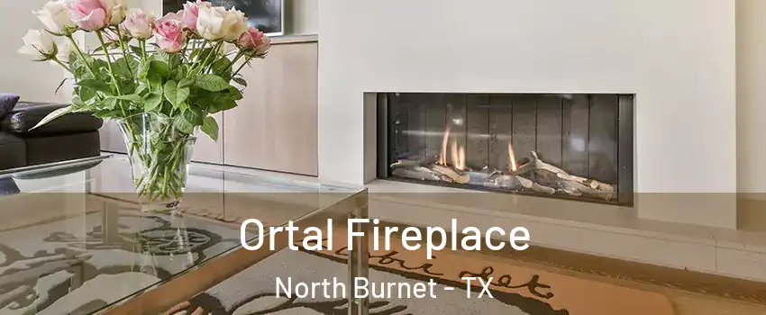 Ortal Fireplace North Burnet - TX
