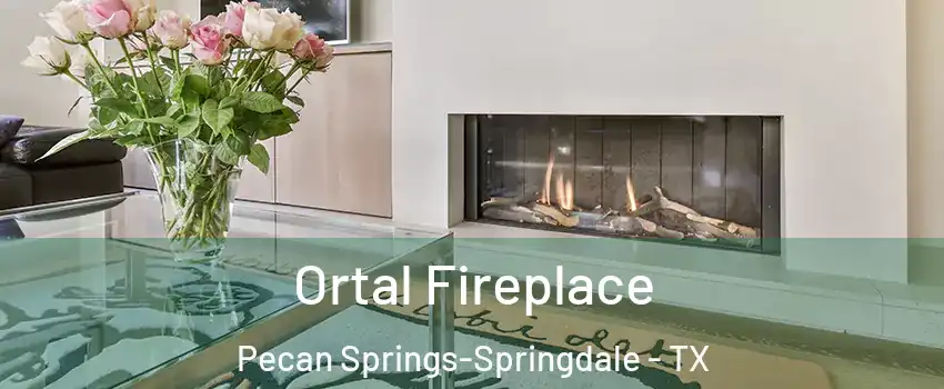 Ortal Fireplace Pecan Springs-Springdale - TX