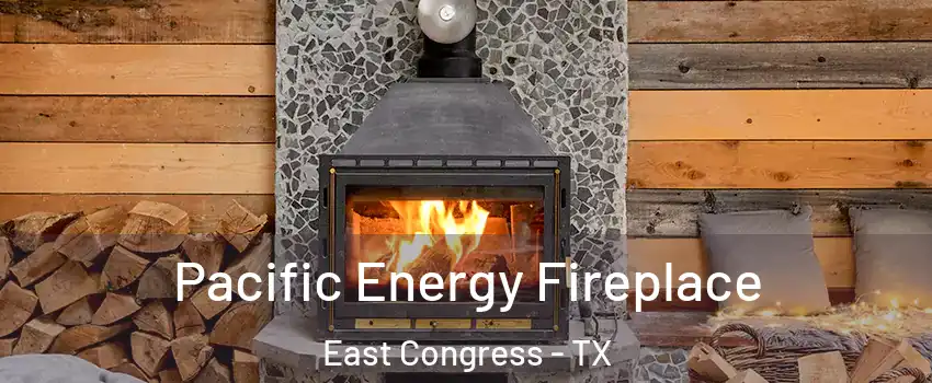 Pacific Energy Fireplace East Congress - TX