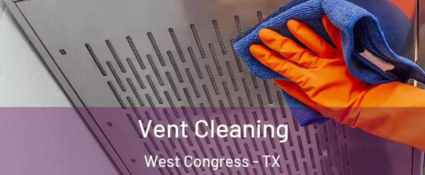 Vent Cleaning West Congress - TX
