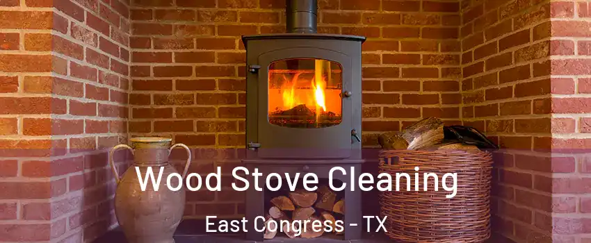 Wood Stove Cleaning East Congress - TX